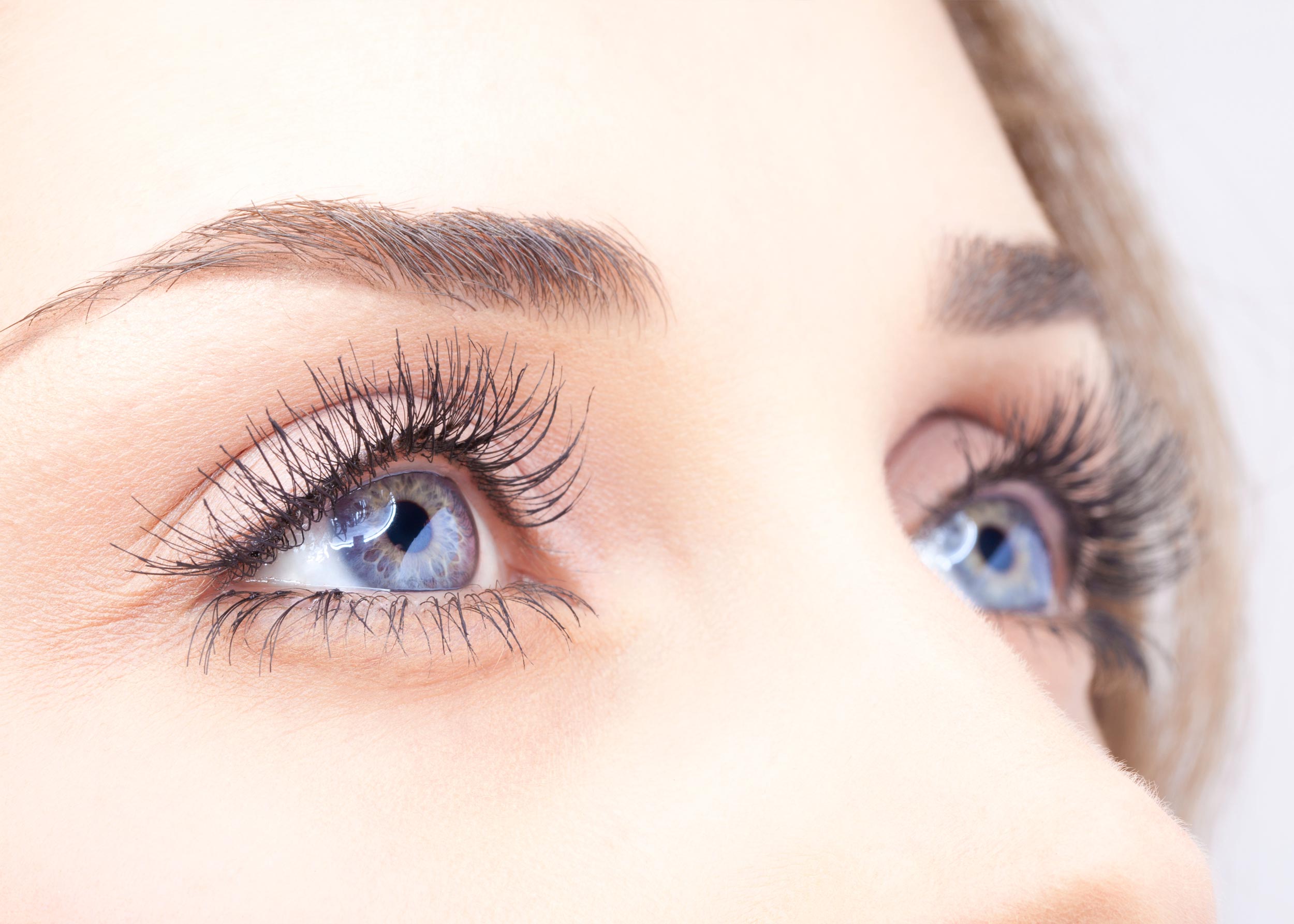 Beauté du Regard